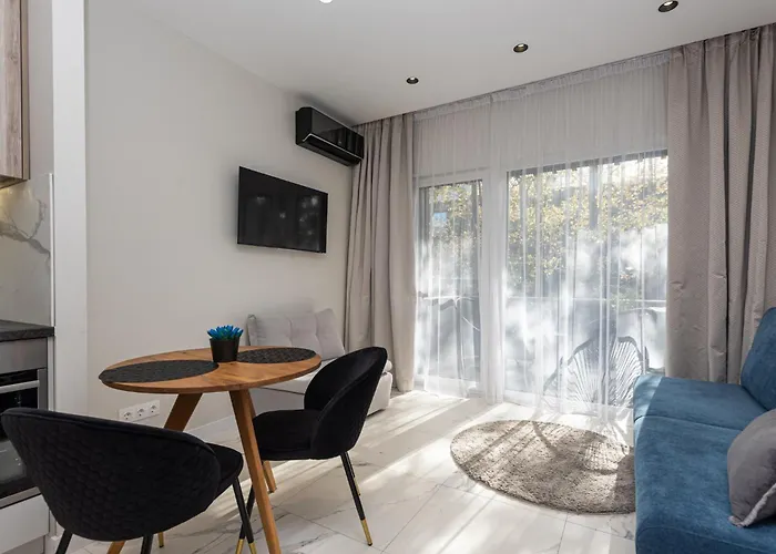 Studija Nendres 8/12 بالانغا